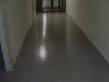 b3.jpg